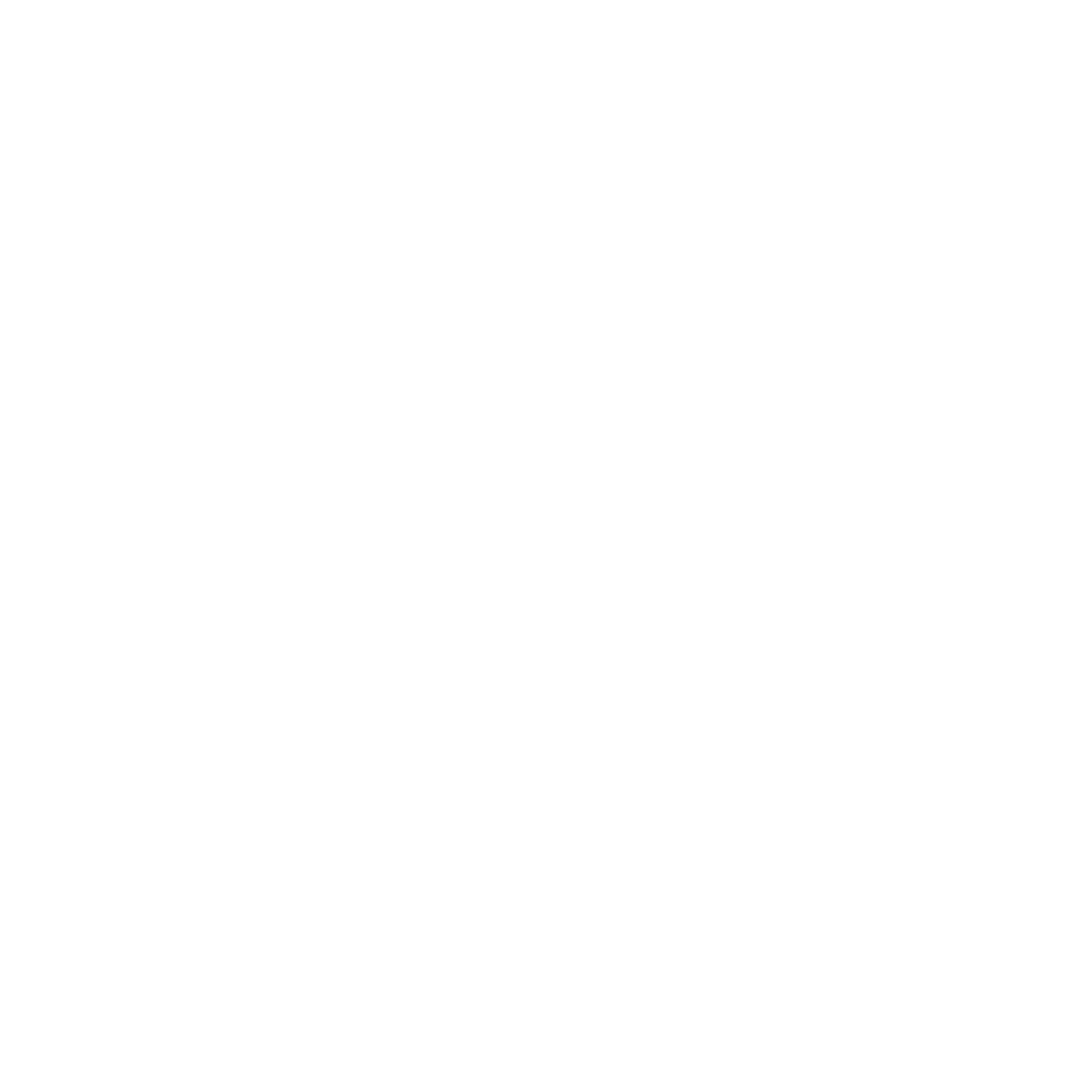 N6 Logo